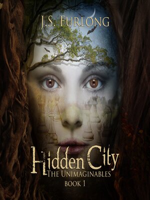 cover image of Hidden City